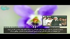 انواع نفس   علامه محمد ربیعی