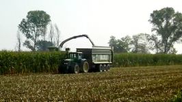 BigX 850 + 10 Row  Corn Silage in