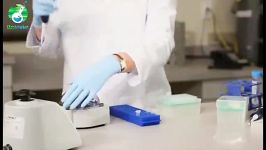 qPCR Training Video new