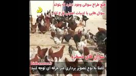 مصاحبه جالب مجری شبکه افلاک لرستان