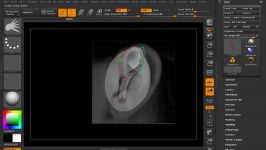 Sculpting Human Ears in ZBrush