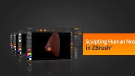 Sculpting Human Noses in ZBrush