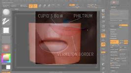 Sculpting Human Mouths in ZBrush