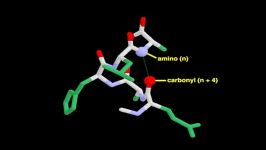 alpha helix