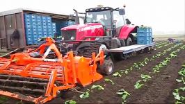 Massey Ferguson 7480 Dyna