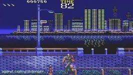 تاریخچه بازی NINJA GAIDEN