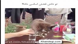 آخه انسان، مرض داری؟؟