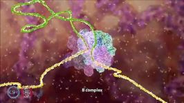 رونویسی ترجمه اسپلایسینگ RNA