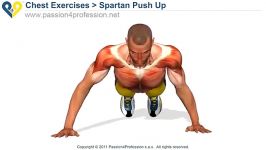 Spartans Push Up