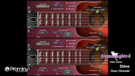 Prominy Hummingbird Acoustic Guitar   www.Best Vst.ir