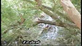 آبشارزیبای چهلمیر خراسان رضوی  شهرستان درگز