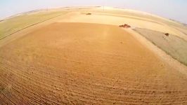 wheat Harvest  Cut Bank Montana with