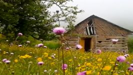 ایرج بسطامی ... گلپونه ها