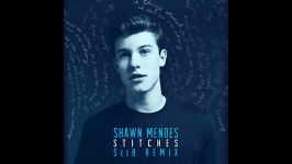 remix stitches by shawn mendes