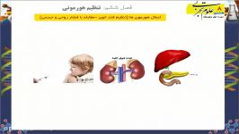 تنظیم قند خون  دیابت جوانی  علوم هشتم