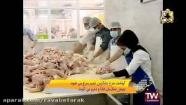خبر شبکه3 معاون غذا دارو، گوشت مرغ به جای خمیر مرغ