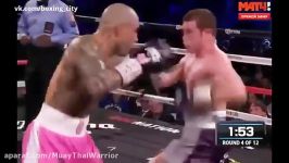 miguel cotto vs canelo alvarez آلوارز بر قله میان وزن