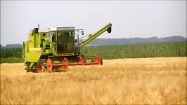 Harvest 2012