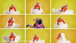 مرغ کلاسیک  the muppets show موزیکال فوق العاده انرژ