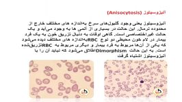 تصاویر هماتولوژی