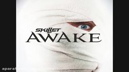 Forgiven Skillet lyrics  Awake