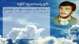 شهید محمود کاوه