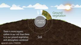 Soils Our ally against climate change