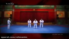 Grand Master Kyu Hyung Lee  WTF Poomsae Keumgang