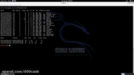 Cracking WPA WPA2 with Kali Linux verbal step by step