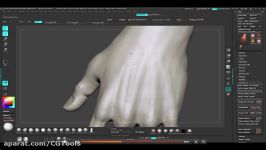 Sculpting Human Hands and Feet in ZBrush 4R5