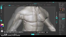 Sculpting the Human Body in ZBrush