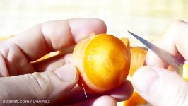 هنر تزیین سبزیجات تزیین هویج به شکل قارچ