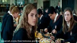 harry and hermione innocence