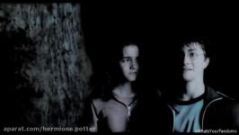 harry and hermione love scance