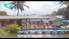 pattaya بانجی جامپینگ در پاتایا www.Thaigasht.com