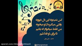 فدا شم  سامی بیگی