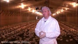 Antibiotic Use in the Poultry Industry