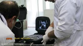 عملیات تولید انتقال جنین های آزمایشگاهی شرکت فکا