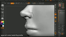 Speed Sculpting a Head in zBrush Tutorial