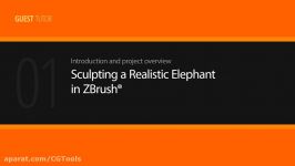 Sculpting a Realistic Elephant in ZBrush