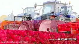 tractor in harvest flower