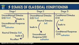 روان شناسی یادگیری  شرطی سازی سطح بالاتر