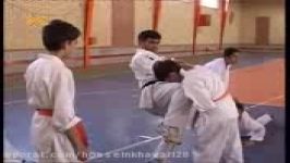 karate kyokushin heris