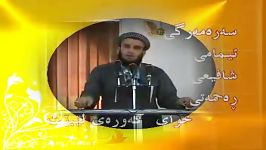 مرگ امام شافعی  ماموستا علی خان حفظه الله