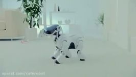 AIBO دوست داشتنی ترین ربات های جهان کافه ربات