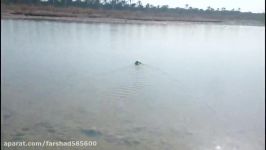 The fastest Amphibious spherical robot in the world