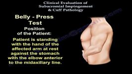 Shoulder Examination Subacromial Cuff