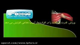 ورزش در افراد ضایعه نخاعی