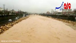 بارش باران رودخانه خشک شیراز را جاری کرد