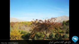 باغ ملی گیاه شناسی ایران